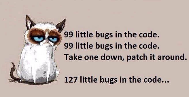 Image result for 99 little bugs in the code